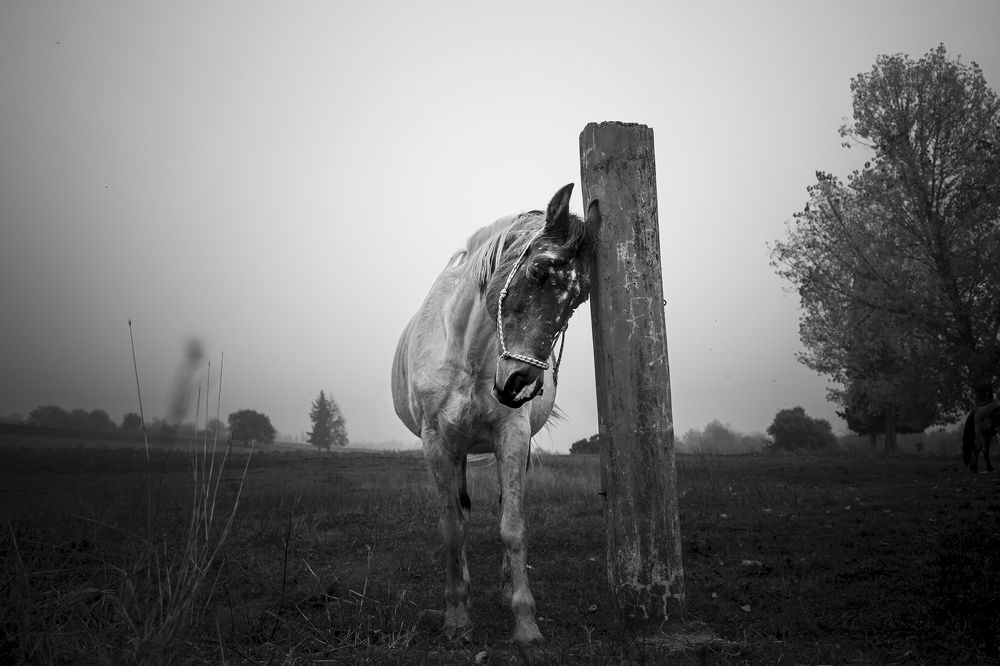 Photograph by Dimitris Vavliaras