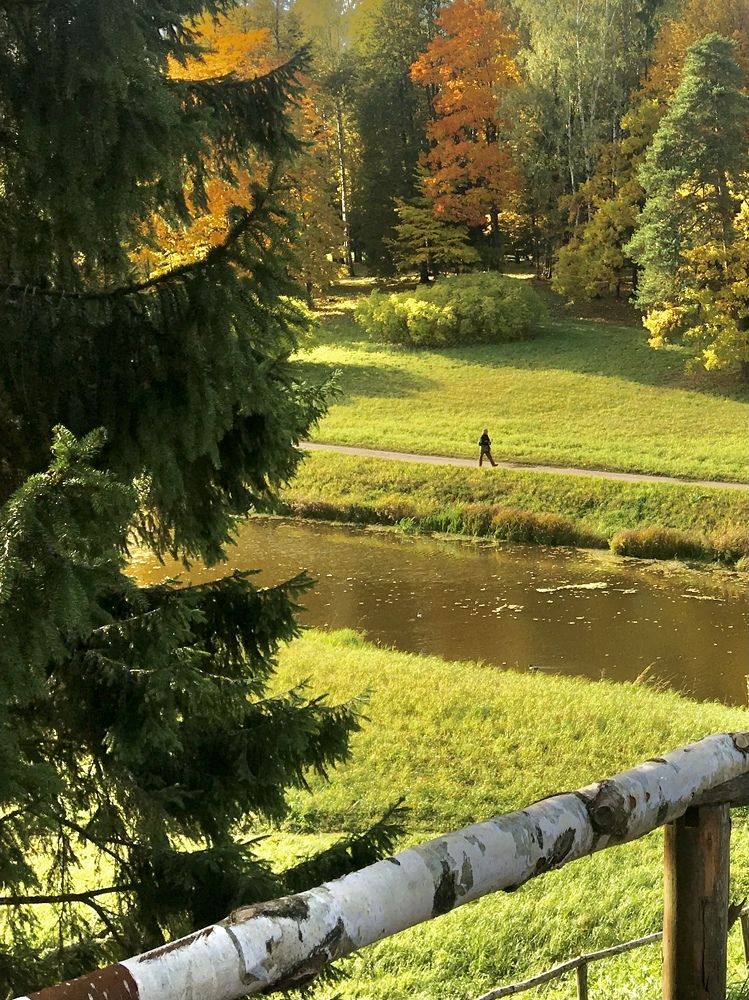 Photograph by Ива