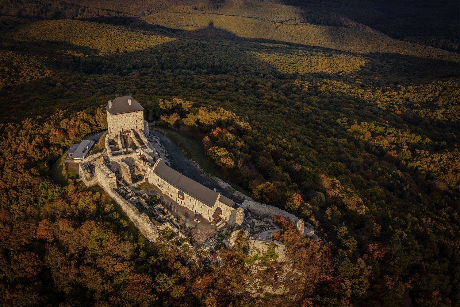 Фотография #6733575