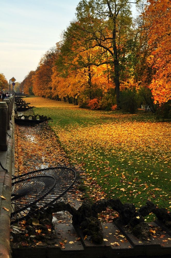 Фотография автора Елена Лицис