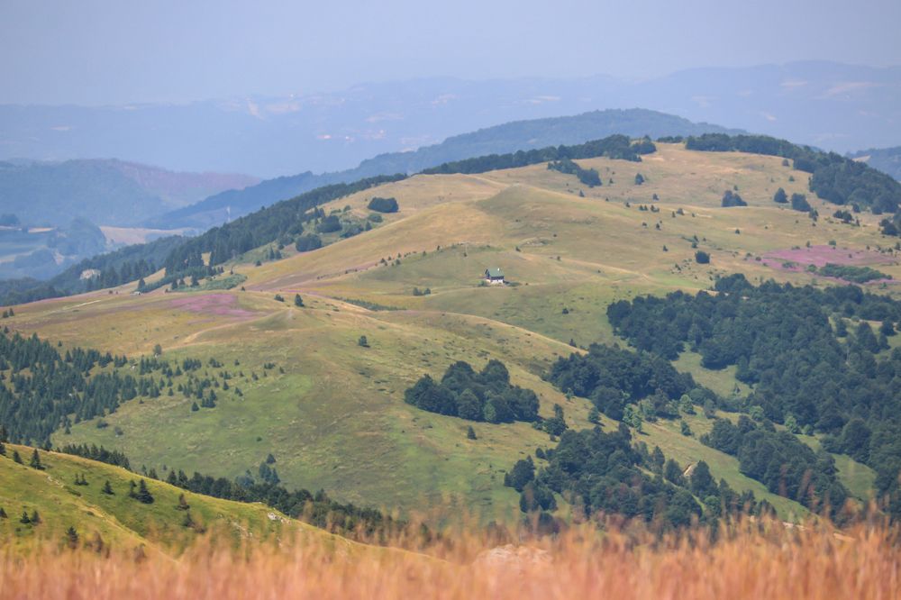 Photograph by Suncica Andrejevic