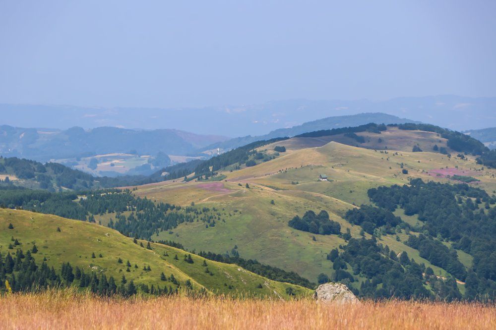 Photograph by Suncica Andrejevic