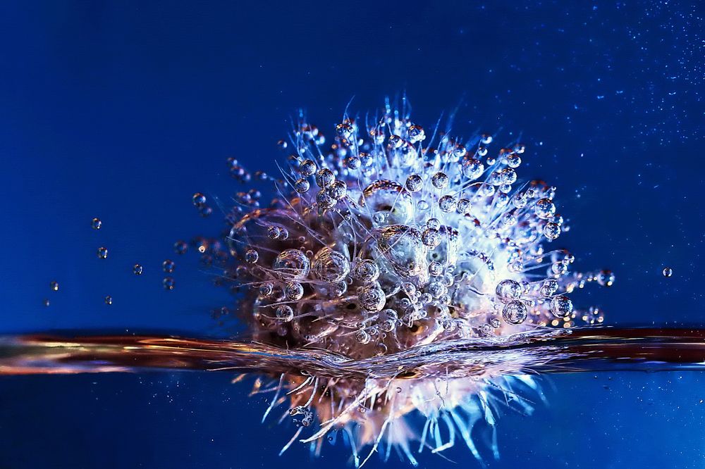 Photograph by Анна Хазова