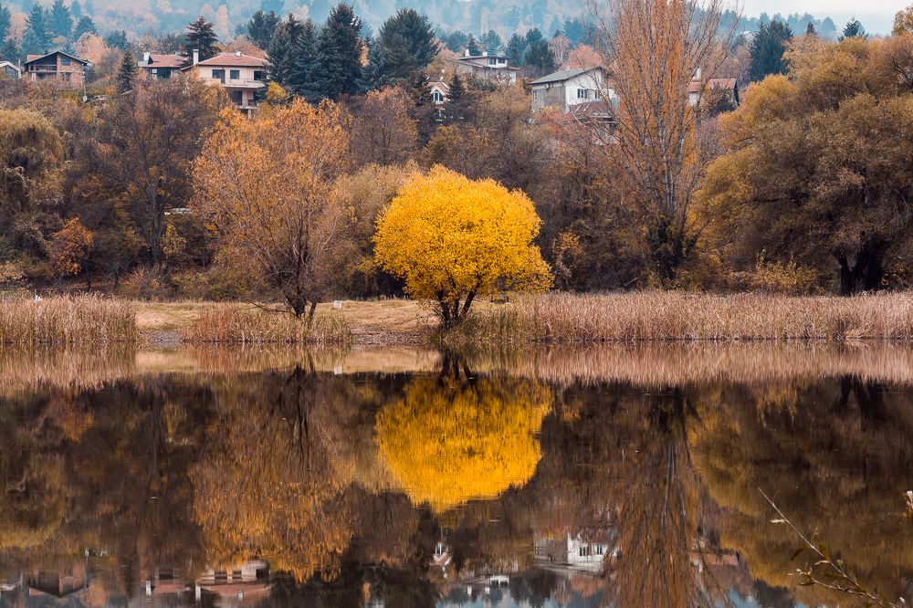 Photograph by Radoslav Bonev