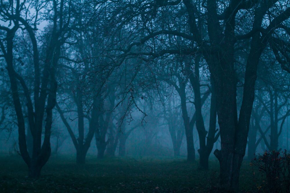 Photograph by Анна Малютина