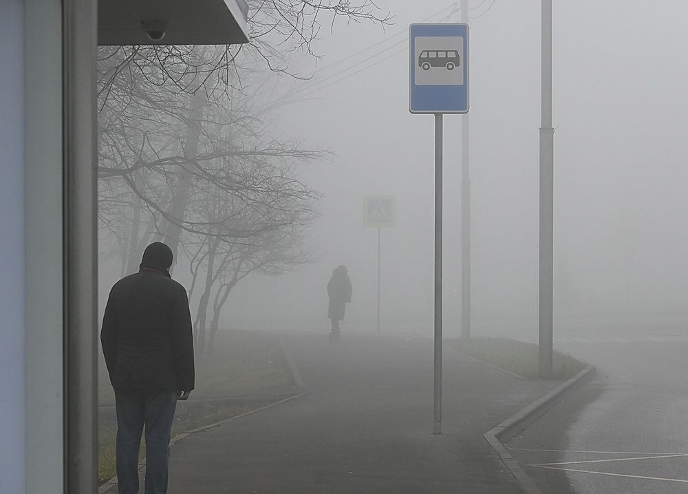 Photograph by Алексей Гордеев