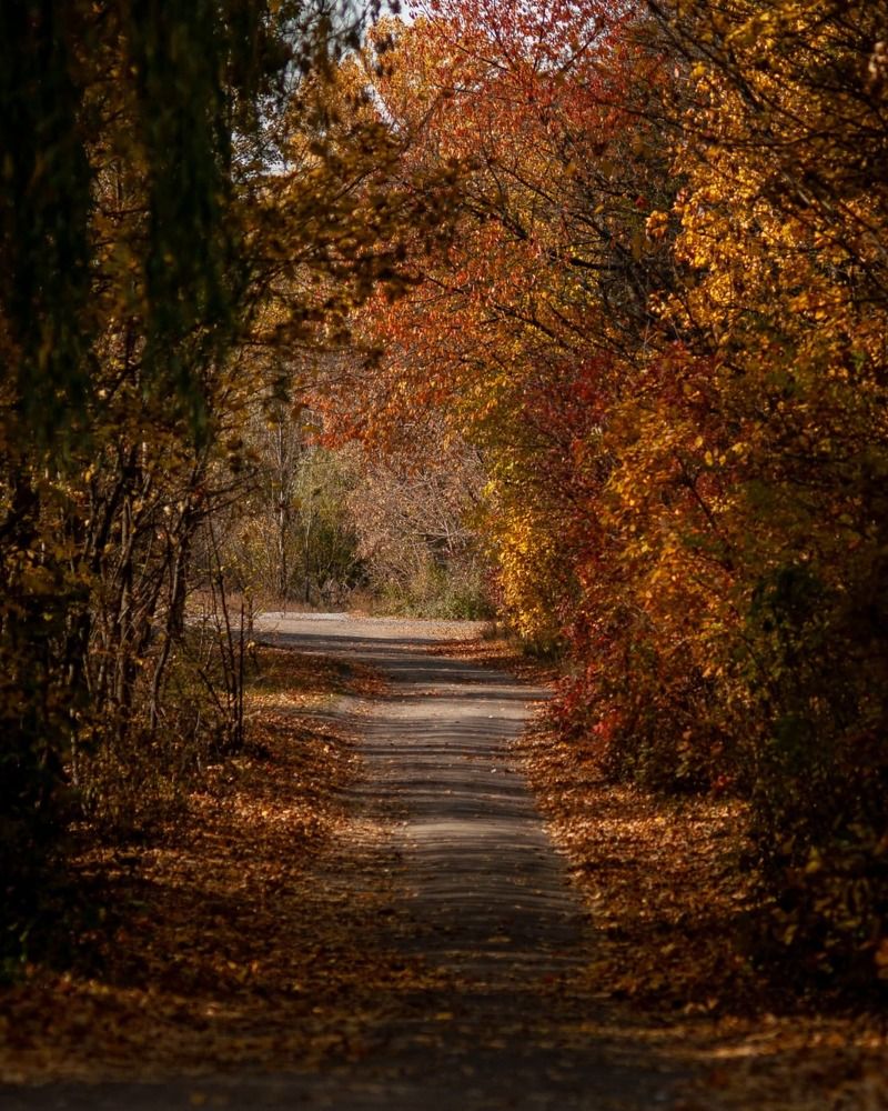 Photograph by Ольга Кудина