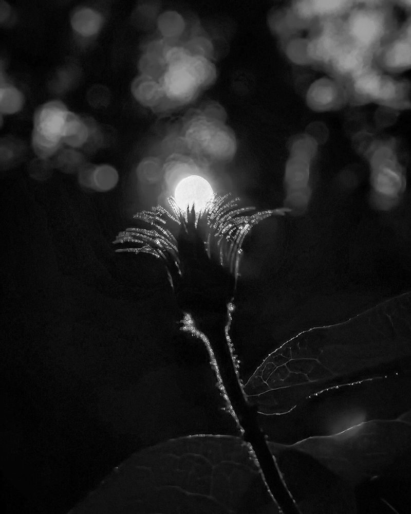 Photograph by Ольга