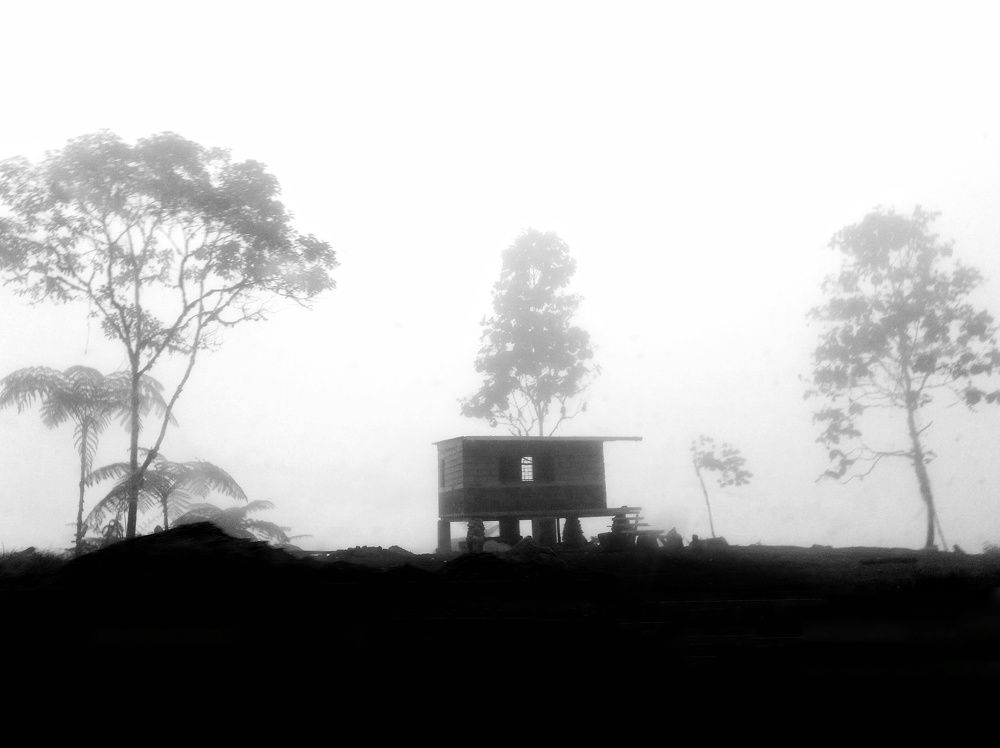 Photograph by Brian C. Guillen