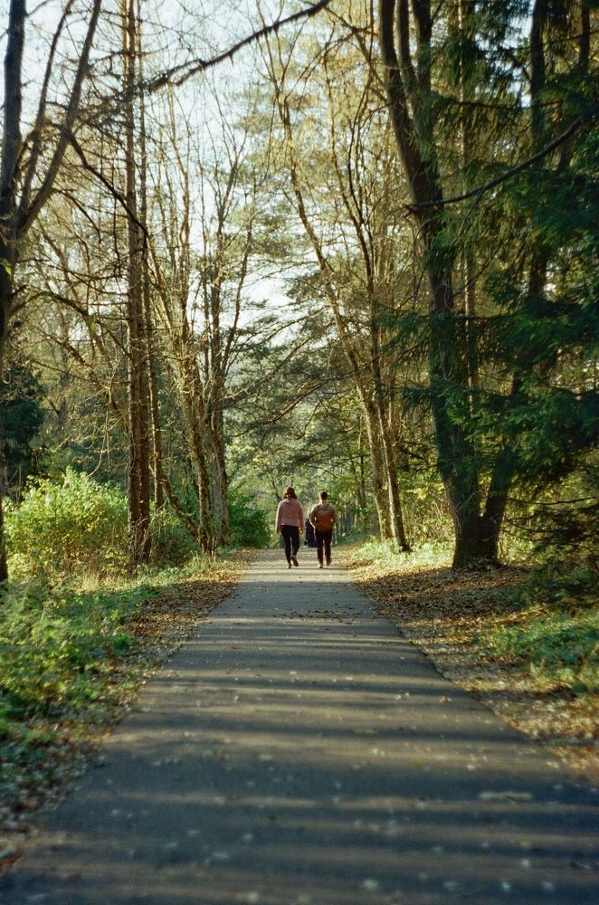 В осеннюю теплую пору