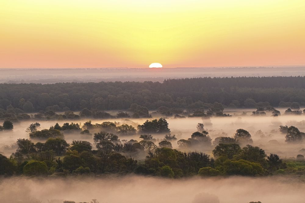 Photograph by Алена