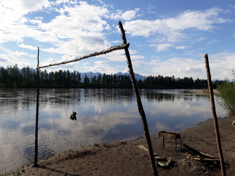 Photograph by Дарья