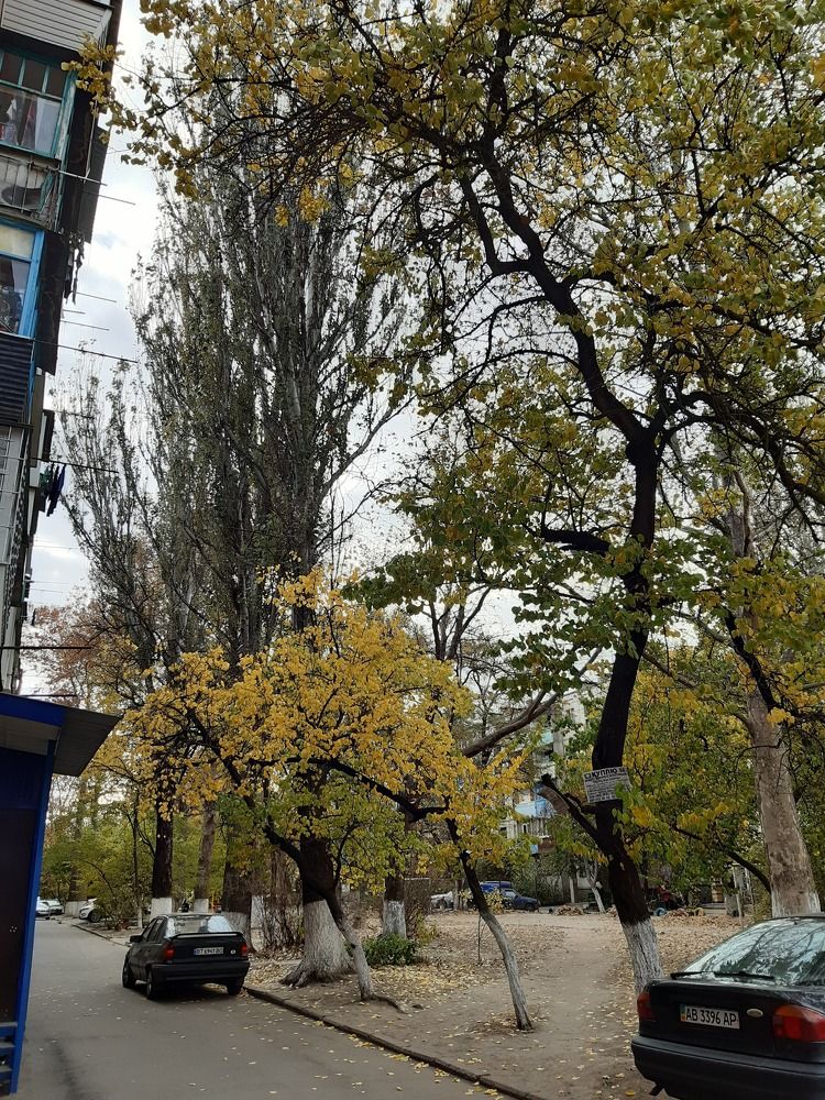 Photograph by Маргарита Сирик