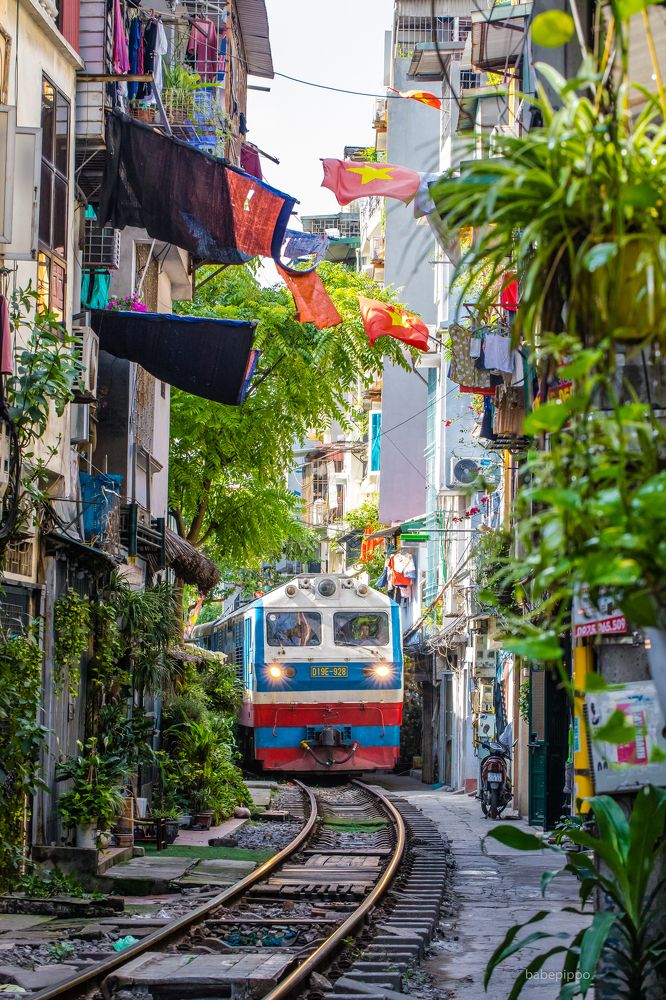 Photograph by trung nguyen