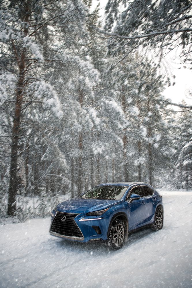 Photograph by Сергей Романченко