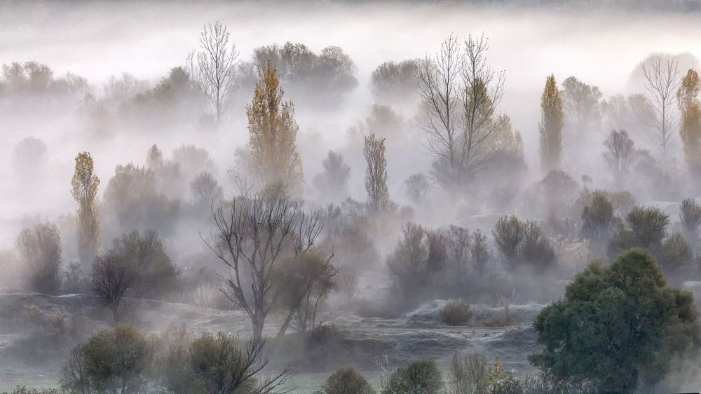 Photograph by Mehmet Kılıcoğlu
