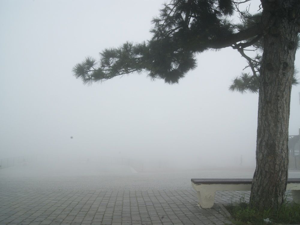 Photograph by Андрей Хитрун