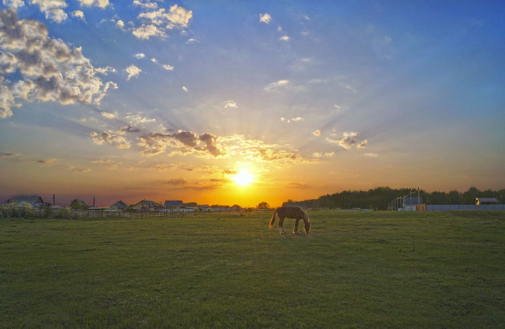 За деревню солнышко садится.