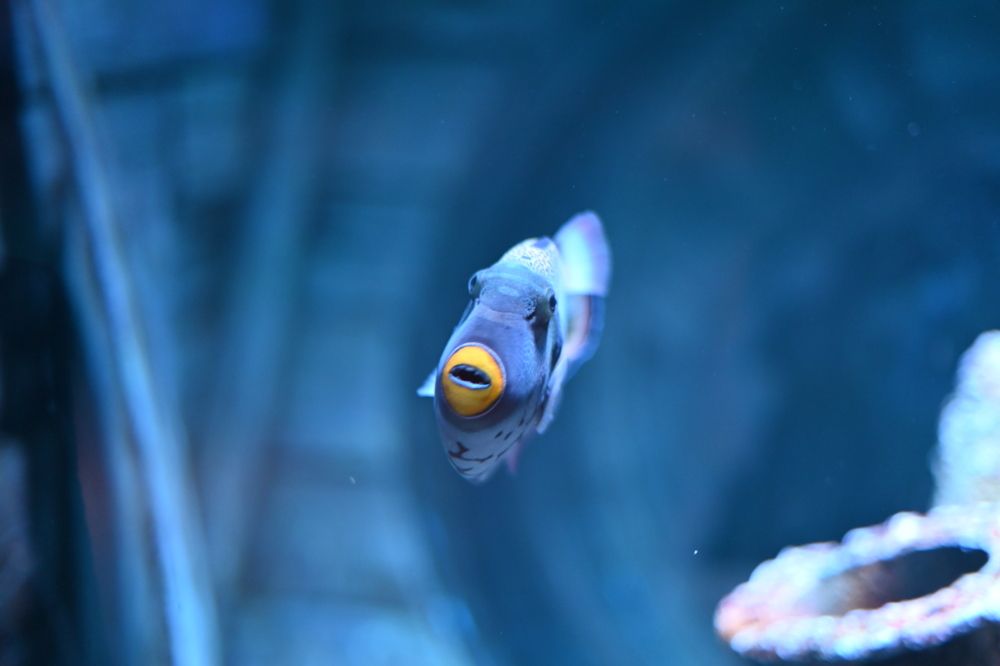 Photograph by Mina Saweris