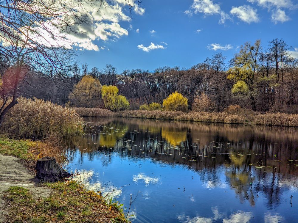 Photograph by Игорь Гомельский