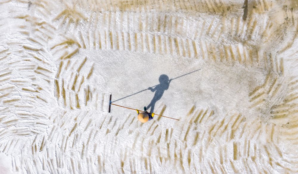 Photograph by Minh Tú Nguyễn