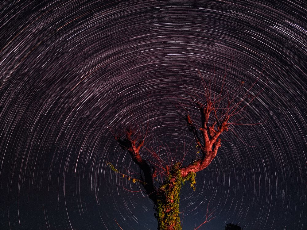 Star Trail in the field
