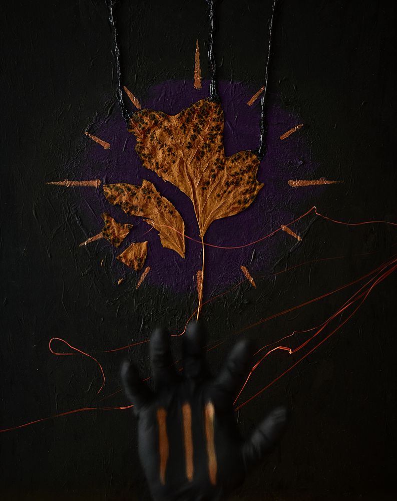 Акт третий. Осознание.