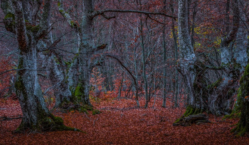 Photograph by Александр Воронов