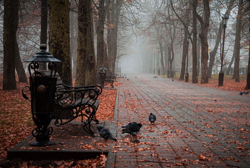 Photograph by Вячеслав Смеликов