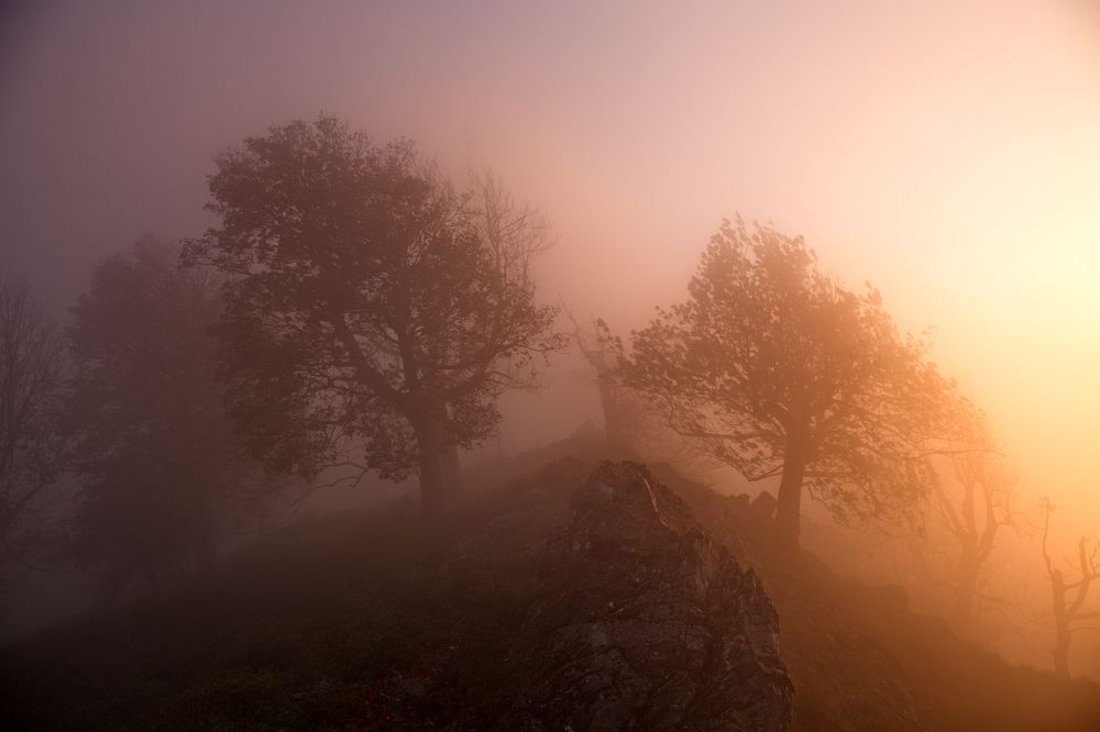 Photograph by Renáta Kuljovská