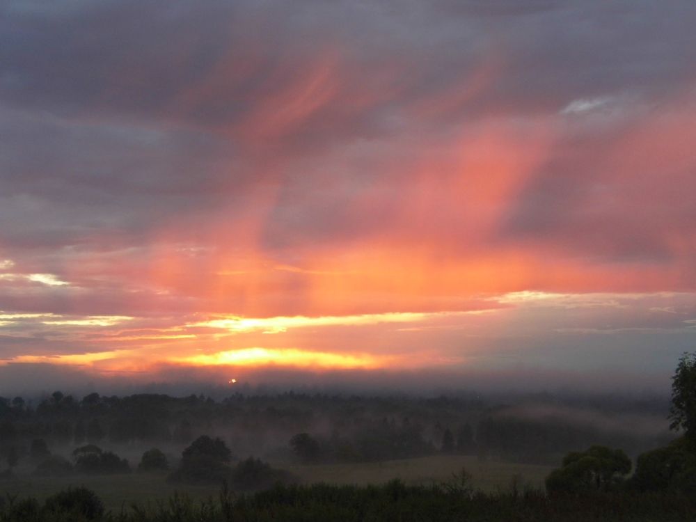 Photograph by сергей павлов