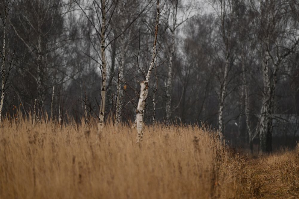 Photograph by Евгения