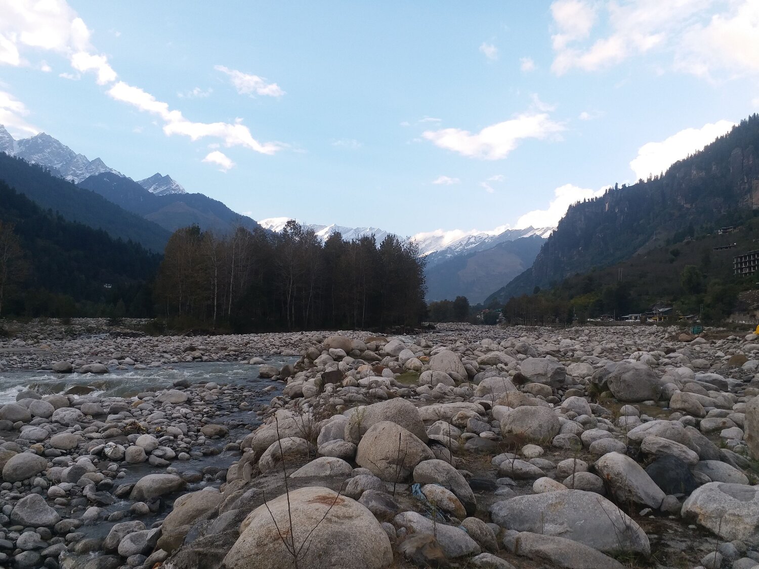 Photo #6734417