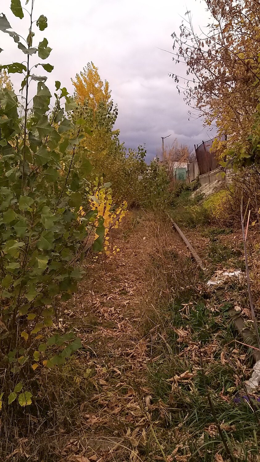 Photo #6734439