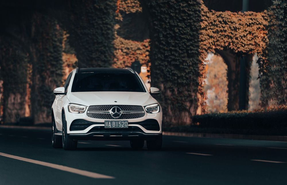 Photograph by Артем Падалко