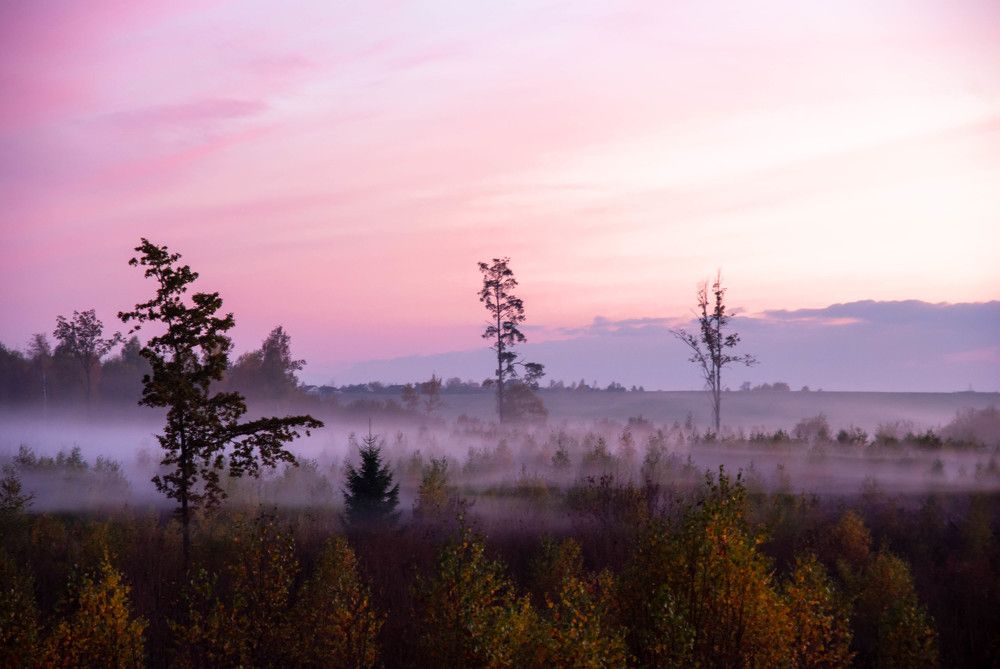 Photograph by Диана Бородзе