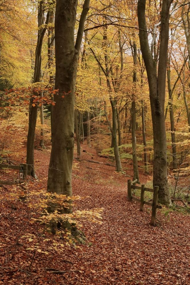 The Autumn, south England