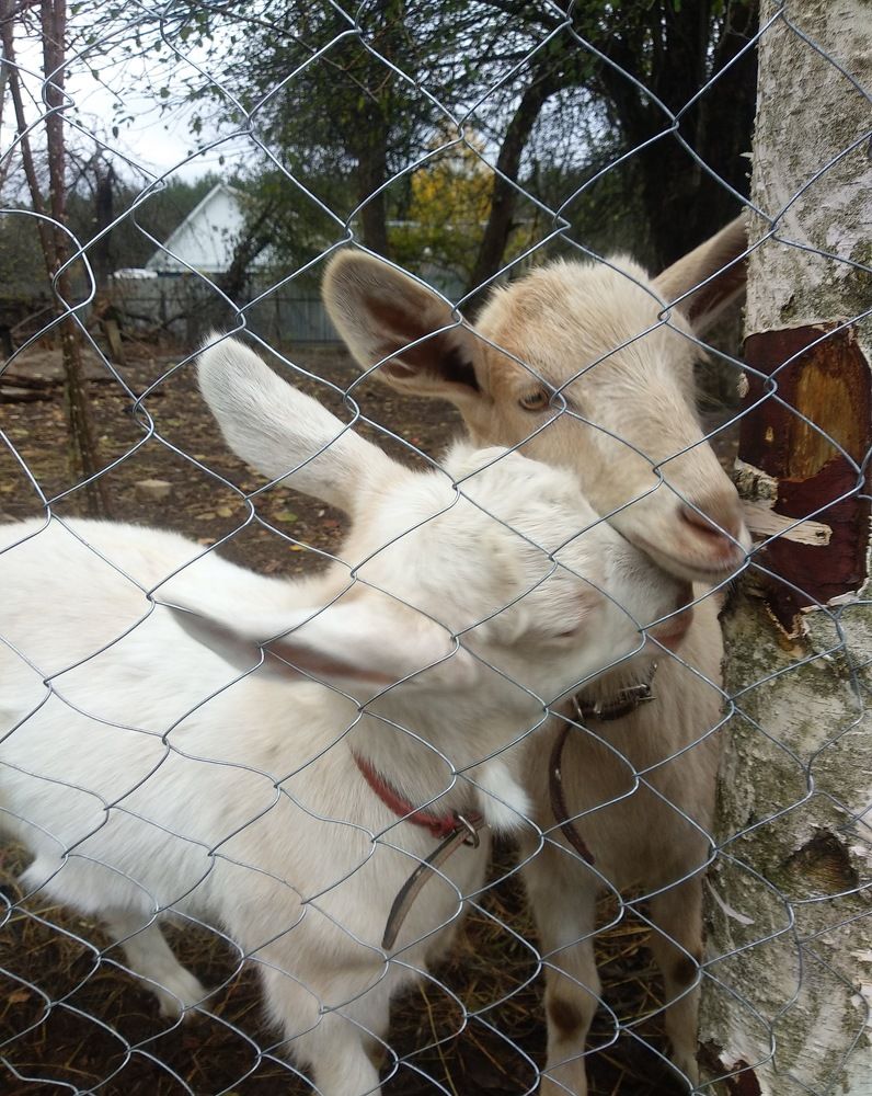 Фотография автора Ирина