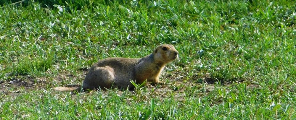 Photograph by Светлана Потемкина