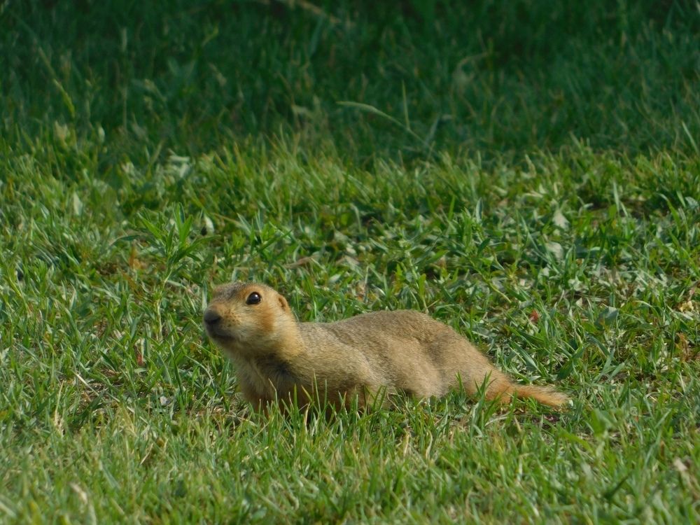 Photograph by Светлана Потемкина