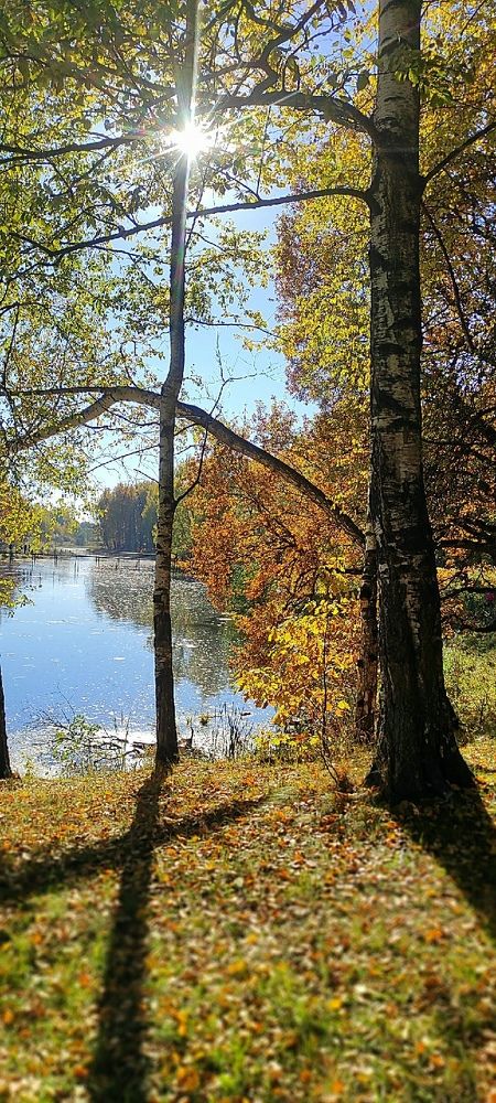 Photograph by Светлана Потемкина