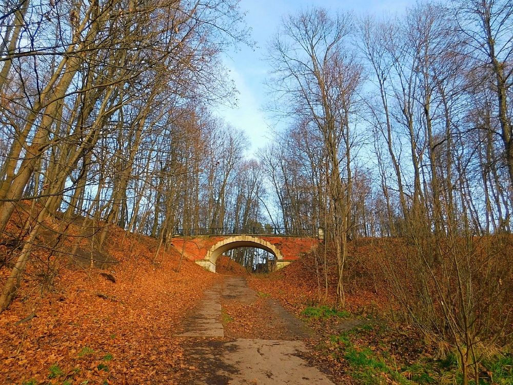 Photograph by Светлана Потемкина