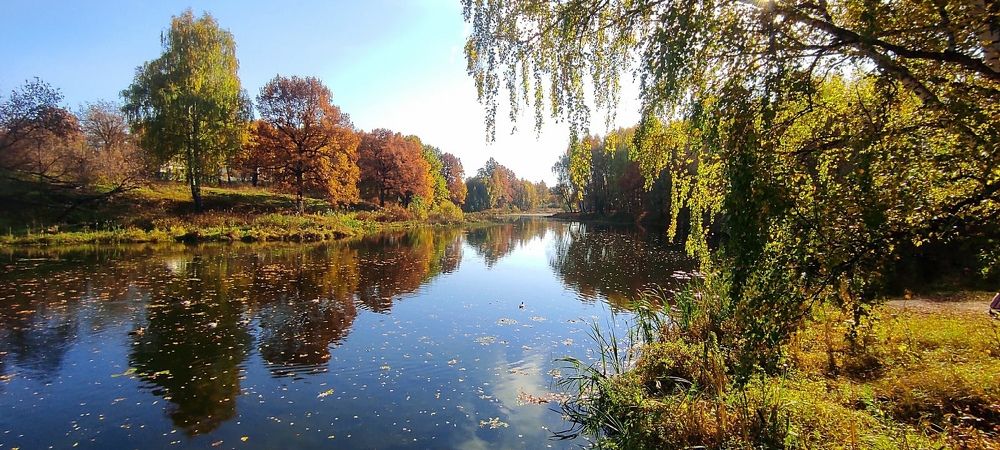 Photograph by Светлана Потемкина