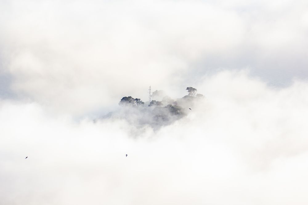 Photograph by Василий Бережной