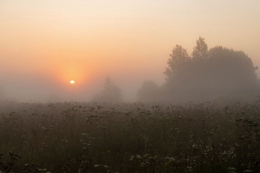 На рассвете