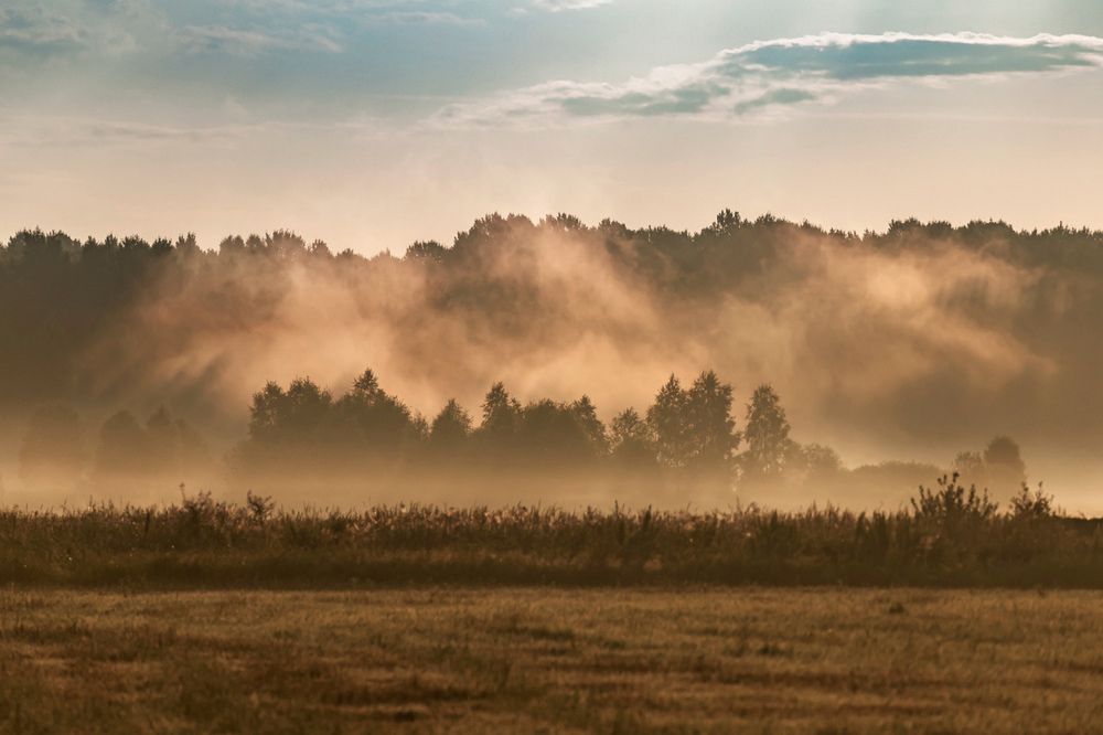 Туман над полем