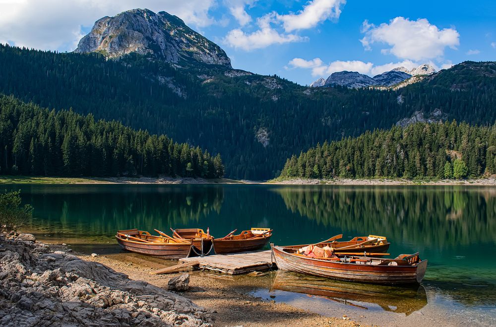 Photograph by Vira Popova