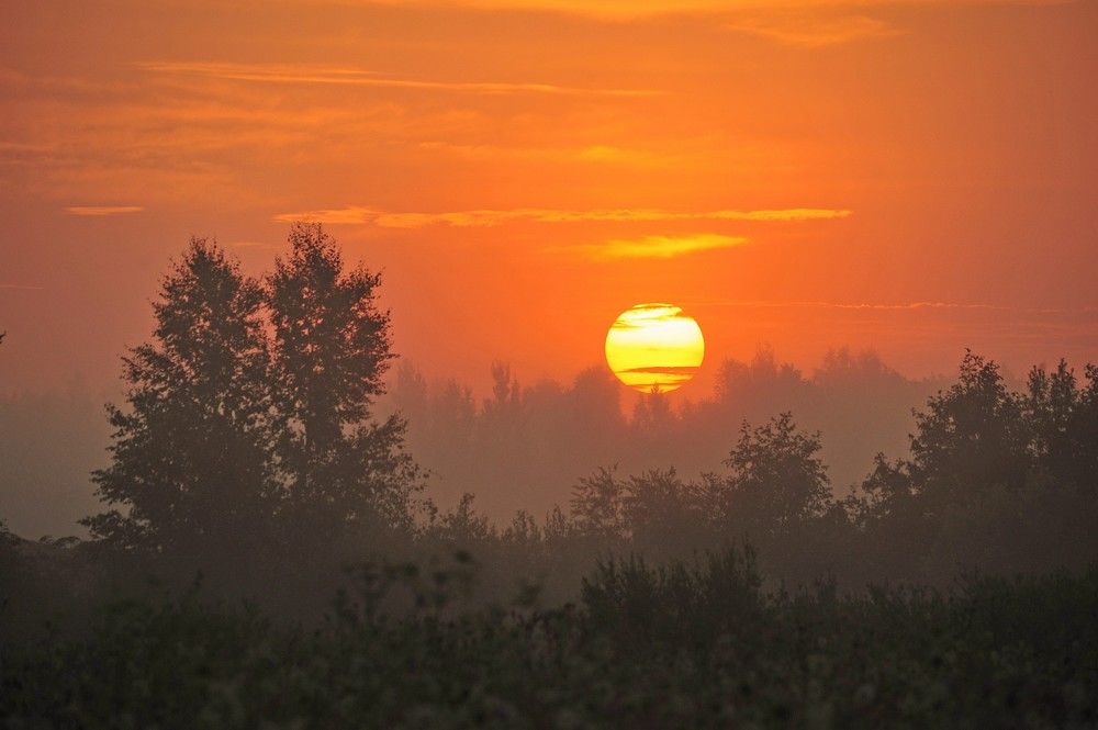 Photograph by Юрий Яковлев