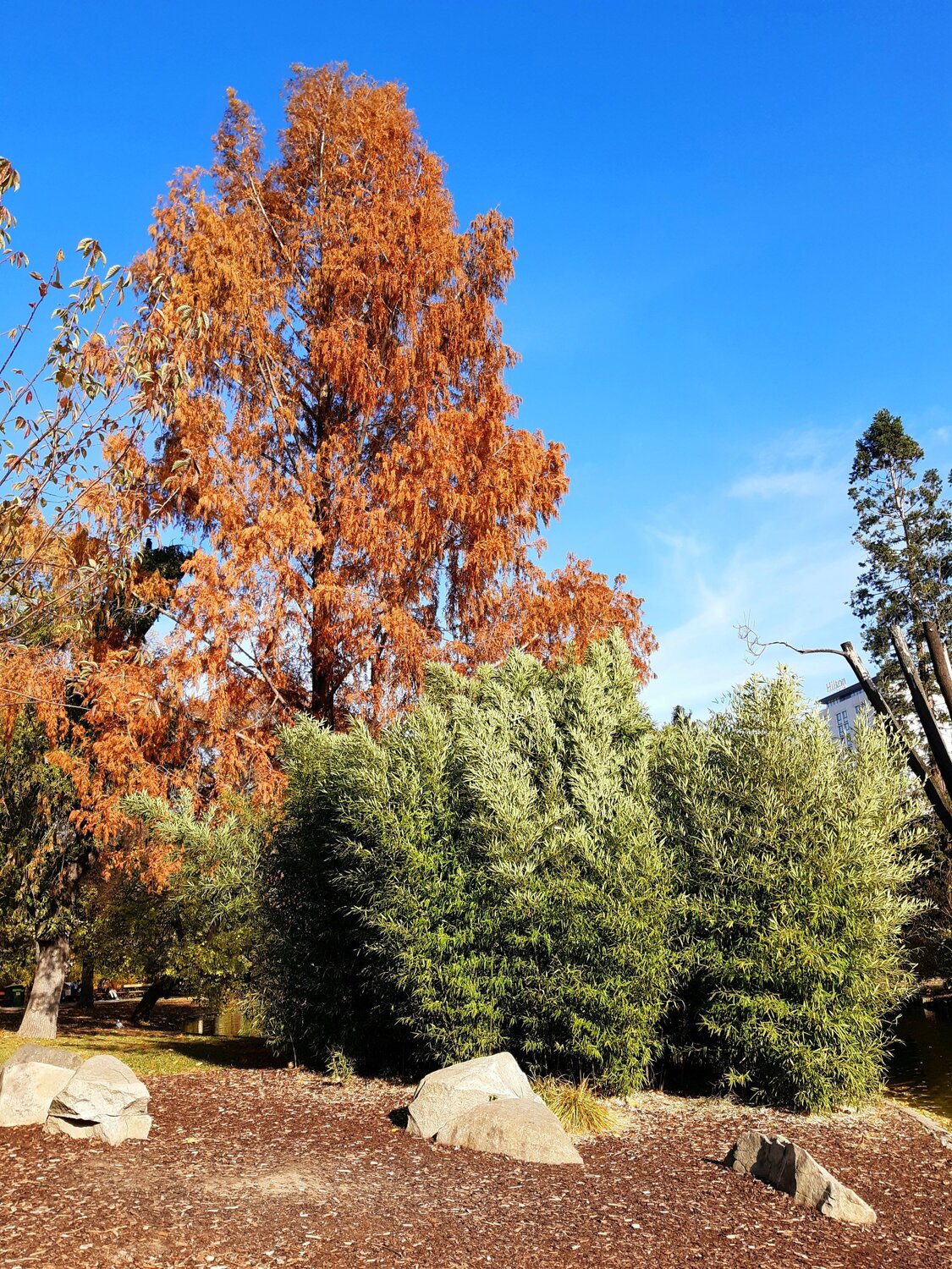 Photo #6734769