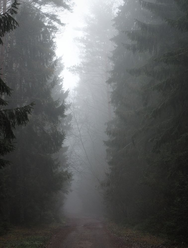 13.11.2021 Fog in Narach